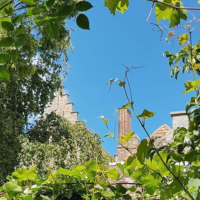 Veers Vertier Veere Bagian luar foto